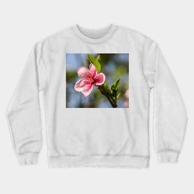 9315 apple Crewneck Sweatshirt by pcfyi